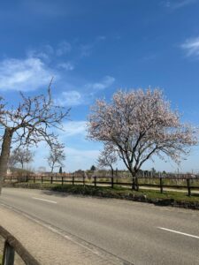 Frühlingswanderung