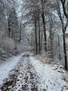Winterwanderung
