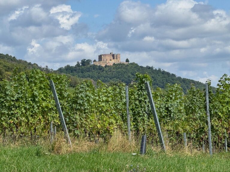 Das Hambacher Schloss beim Ortsteil Hambach der rheinland-pfälzischen Stadt Neustadt an der Weinstraße