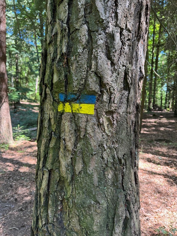 Genussvoll wandern für Anfänger in der Pfalz - hier: Die Totenkopfhütte