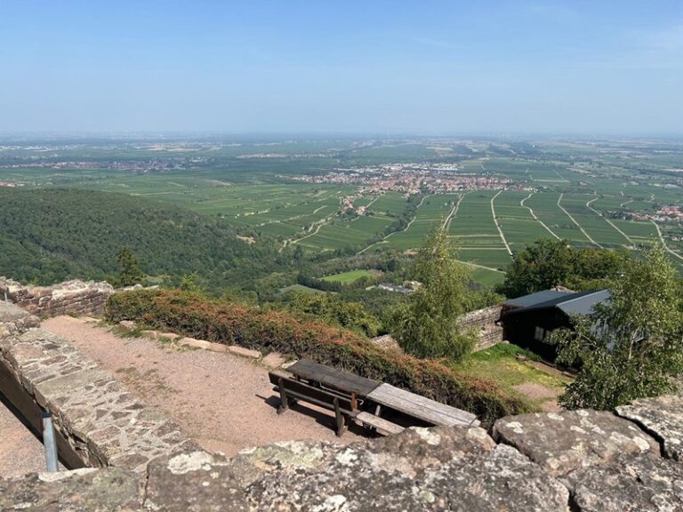 Genussvoll Wandern für Anfänger von der Burgruine Rietburg zum Hüttenbrunnen