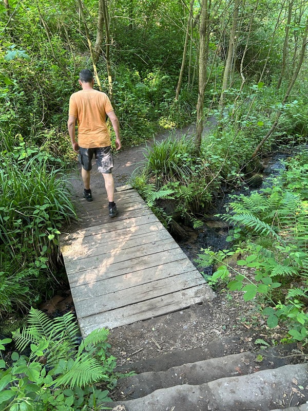 Genussvoll Wandern für Anfänger von der Burgruine Rietburg zum Hüttenbrunnen zurück zur Talstation