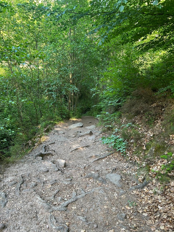 Genussvoll Wandern für Anfänger von der Burgruine Rietburg zum Hüttenbrunnen
