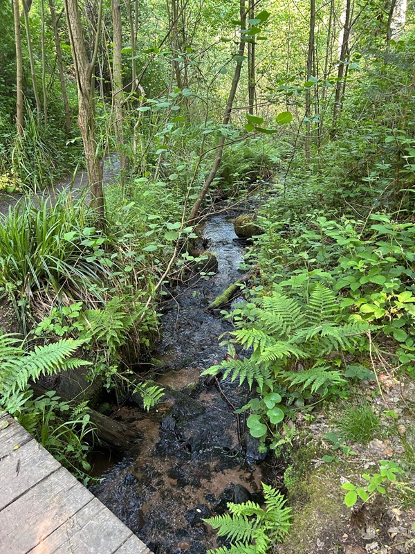 Genussvoll Wandern für Anfänger von der Burgruine Rietburg zum Hüttenbrunnen zurück zur Talstation