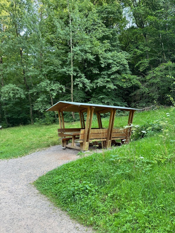Genussvoll Wandern für Anfänger von der Burgruine Rietburg zum Hüttenbrunnen zurück zur Talstation