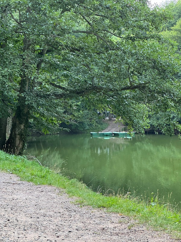 Genussvoll Wandern für Anfänger von der Burgruine Rietburg zum Hüttenbrunnen zurück zur Talstation