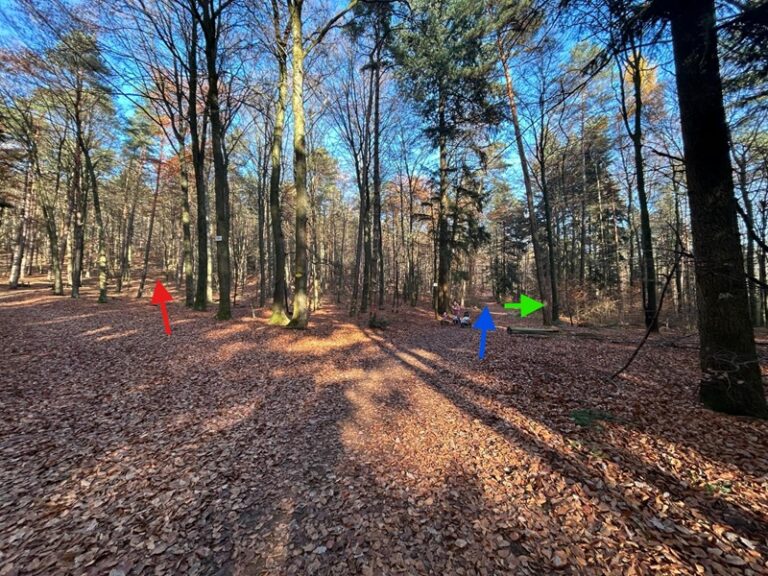 Genussvollwandern für Anfänger in der Pfalz - hier: Ein Ziel, drei Wanderwege