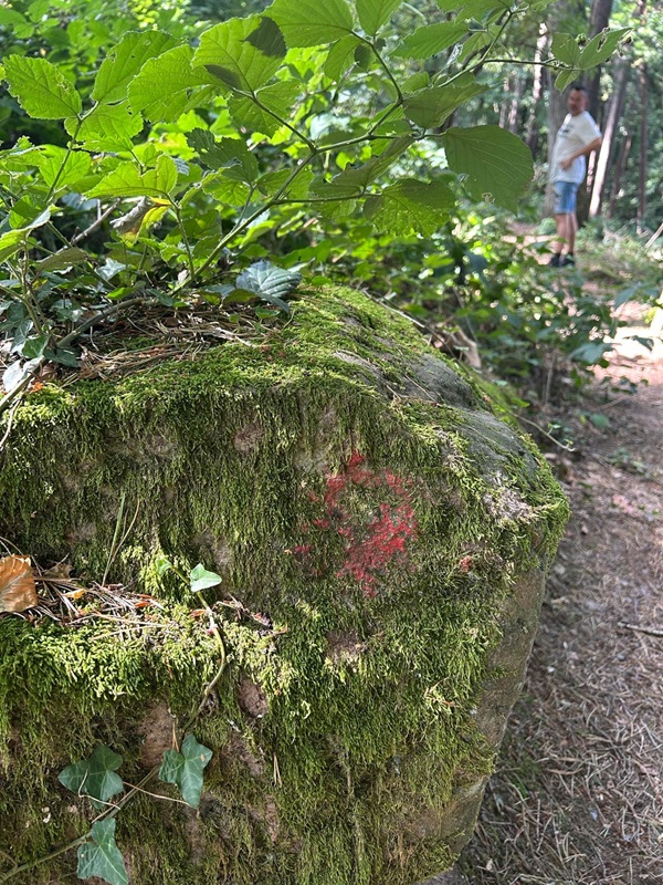 Wegmarkierung Wanderweg Burgruine Rietburg zum Hüttenbrunnen