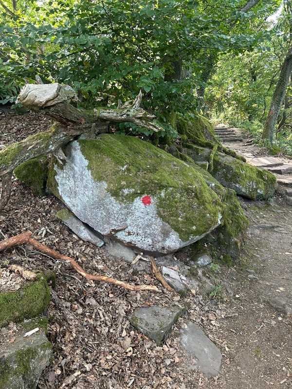Wegmarkierung von der Burgruine Rietburg bis zum Hüttenbrunnen