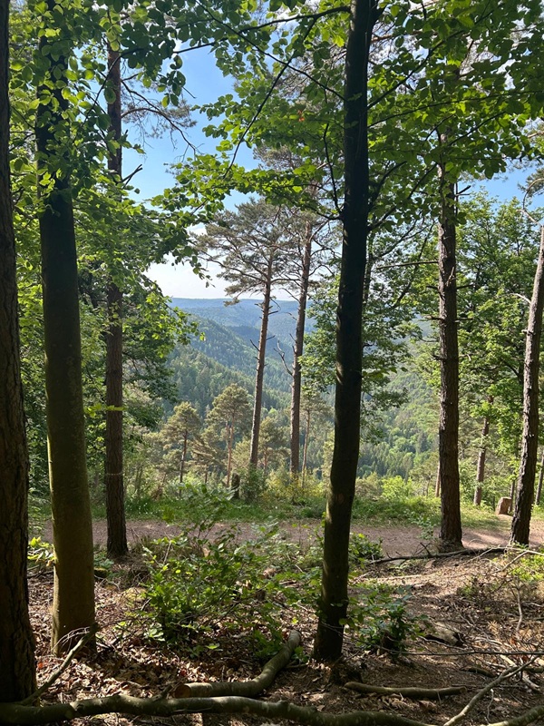wunderschöne Aussicht