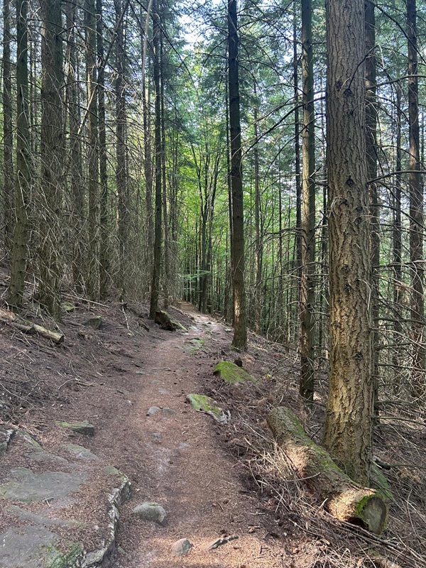 Genussvoll Wandern für Anfänger von der Burgruine Rietburg zum Hüttenbrunnen
