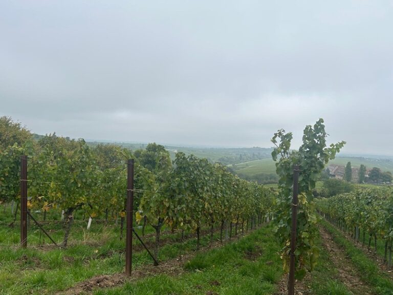 Wandern zur Madenburg