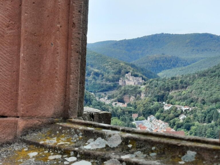 Pfälzerwald und Burgruinen-Fenster