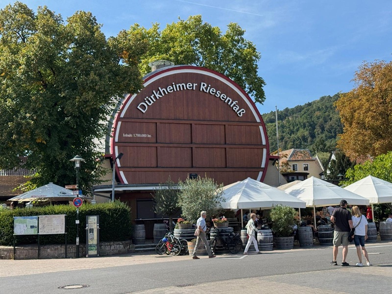 Gemütlich wandern zur Burgruine Wachtenburg ab Bad Dürkheim