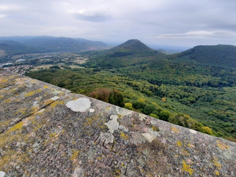 Pfälzerwald im Herbst