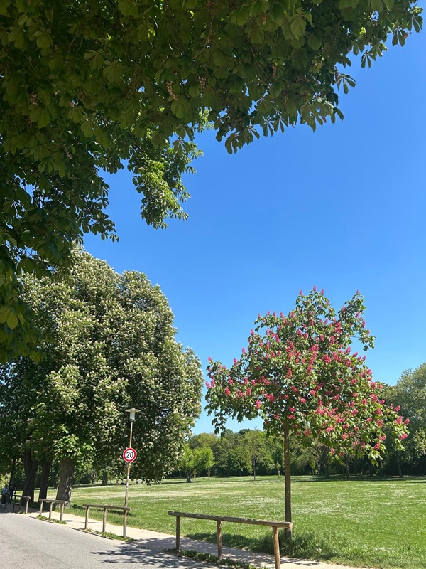 Pfälzerwald und Speyer