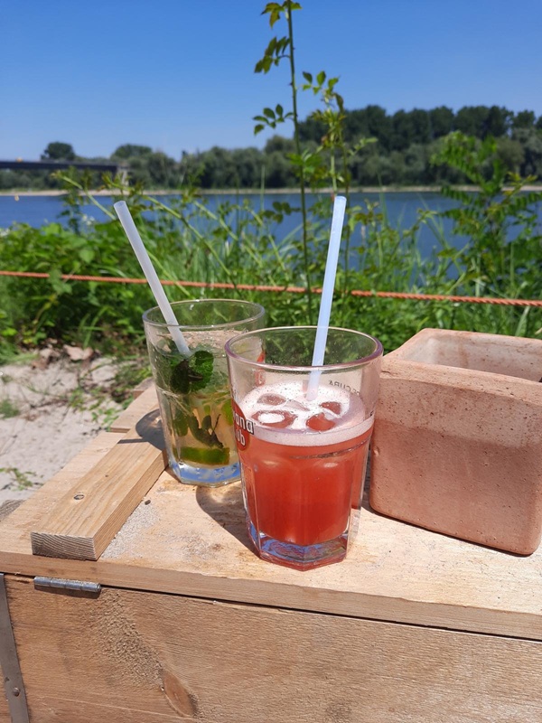 Pfälzerwald und Beachbar