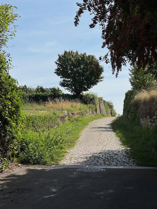 Gemütlich wandern zur Burgruine Wachtenburg ab Bad Dürkheim