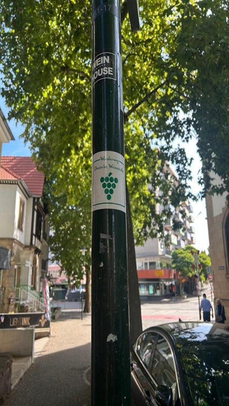 Gemütlich wandern zur Burgruine Wachtenburg ab Bad Dürkheim