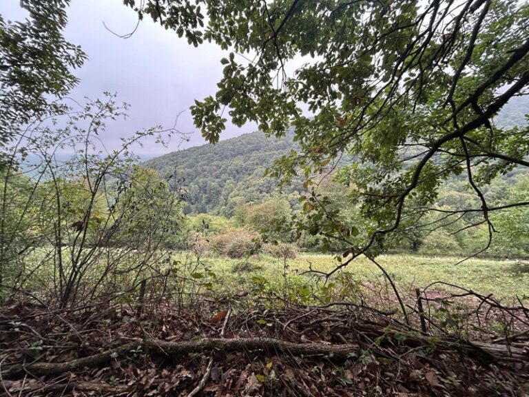 Wandern zur Madenburg