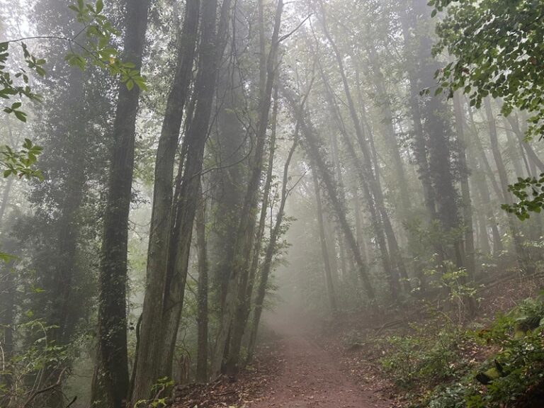 Wandern zur Madenburg