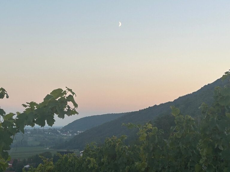 Wandern zur Madenburg