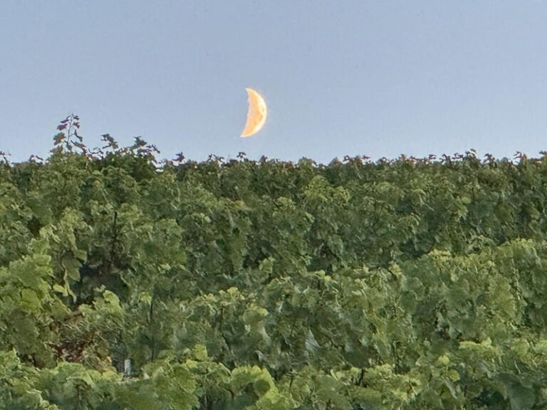 Wandern zur Madenburg