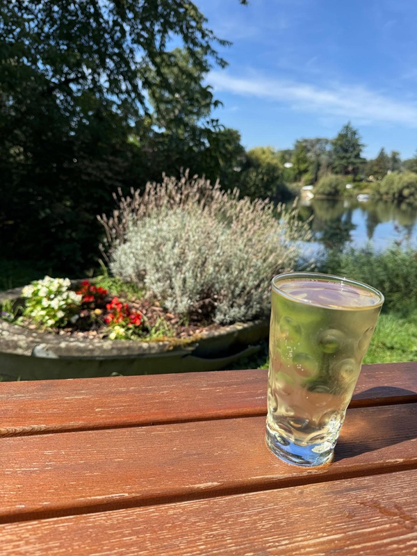 Pfälzer Weinschorle
