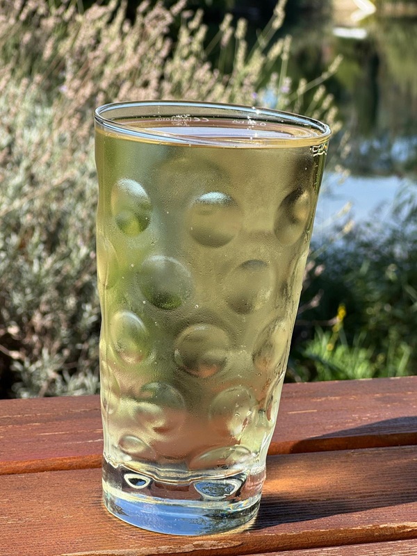Pfälzer Weinschorle im Dubbeglas