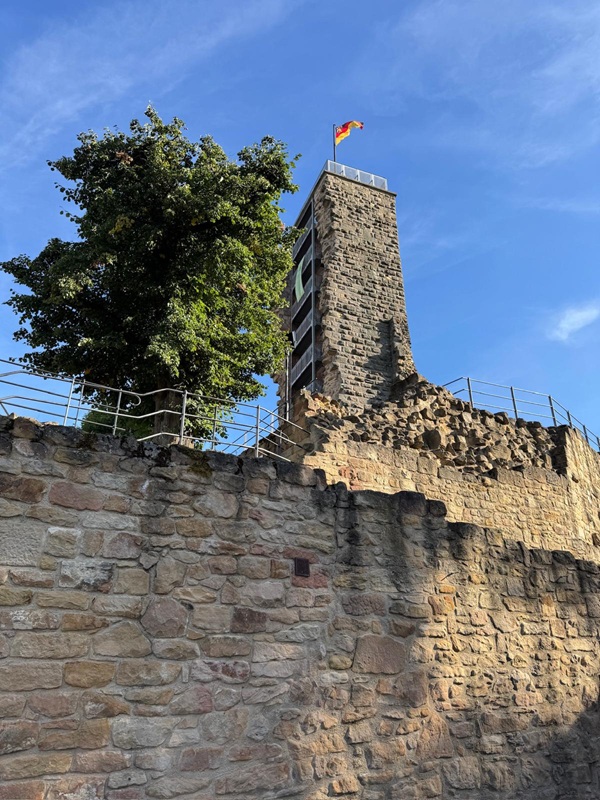 Pfälzerwald-Burgruinen - hier: Die Wachtenburg