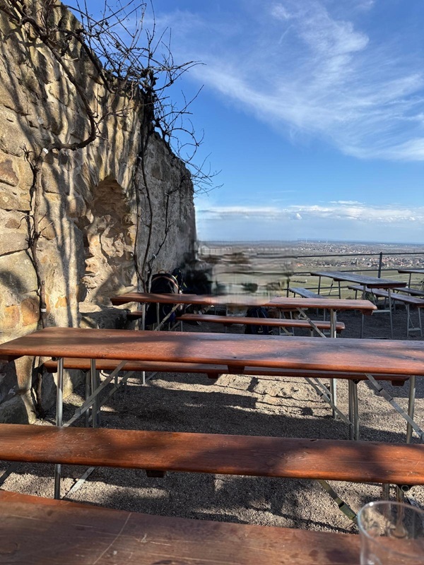 Pfälzerwald-Burgruinen - hier: Die Wachtenburg