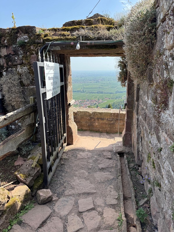 Pfälzerwald-Burgruinen - hier: Die Burgruine Rietburg