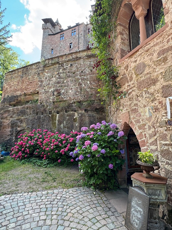 Pfälzerwald-Burgruinen - hier: Burgruine Berwartstein