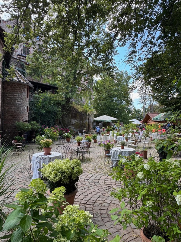 Pfälzerwald-Burgruinen - hier: Burgruine Berwartstein