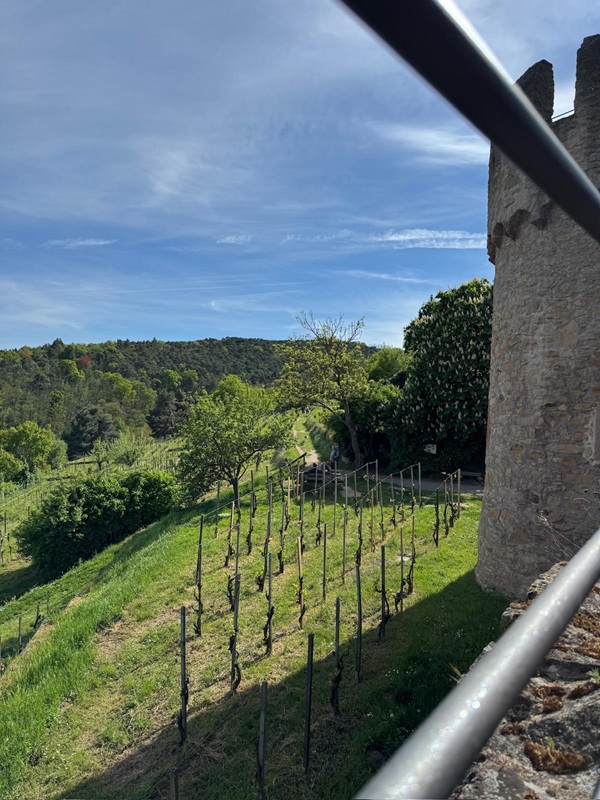 Pfälzerwald-Burgruinen - hier: Die Wachtenburg