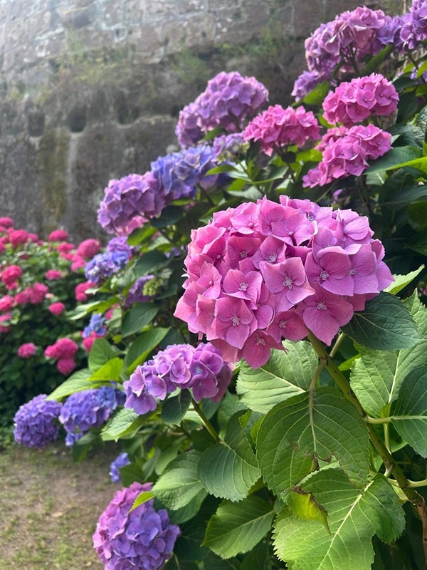 Pfälzerwald-Burgruinen - hier: Burgruine Berwartstein