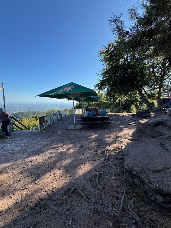 Pfälzerwald-Hütten - hier: Das Kalmithaus