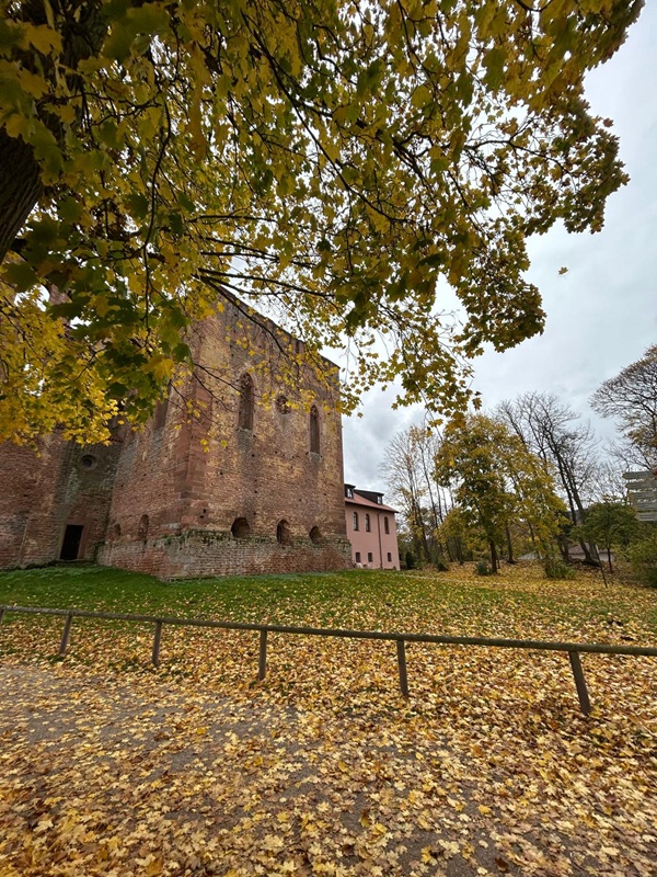 Pfälzerwald-Burgruinen - hier: Klosterruine Limburg