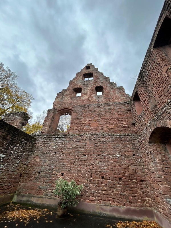 Pfälzerwald-Burgruinen - hier: Klosterruine Limburg