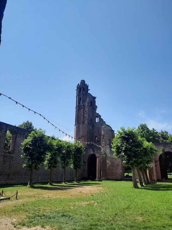 Pfälzerwald-Burgruinen - hier: Klosterruine Limburg