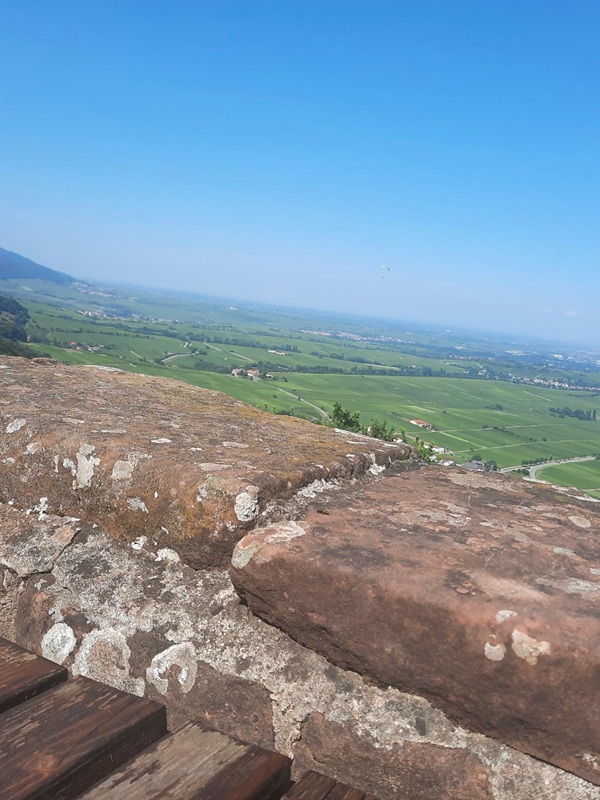 Pfälzerwald-Burgruinen - hier: Die Madenburg