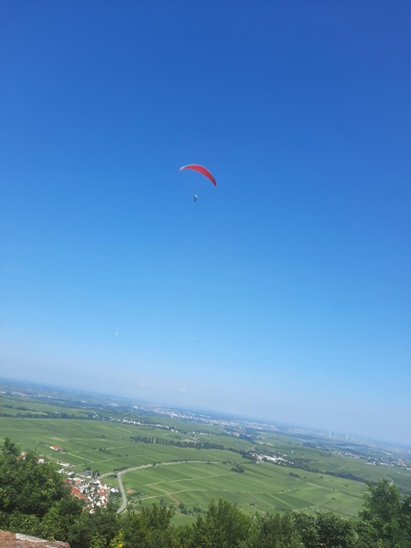 Pfälzerwald-Burgruinen - hier: Die Madenburg