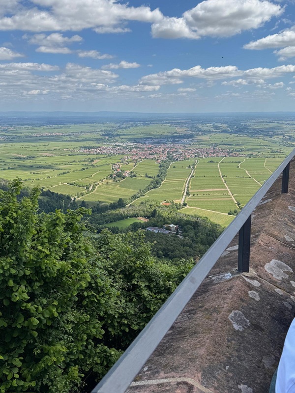 Pfälzerwald-Burgruinen - hier: Die Burgruine Rietburg