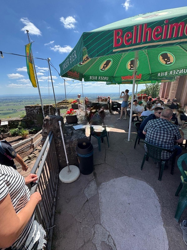 Pfälzerwald-Burgruinen - hier: Die Burgruine Rietburg