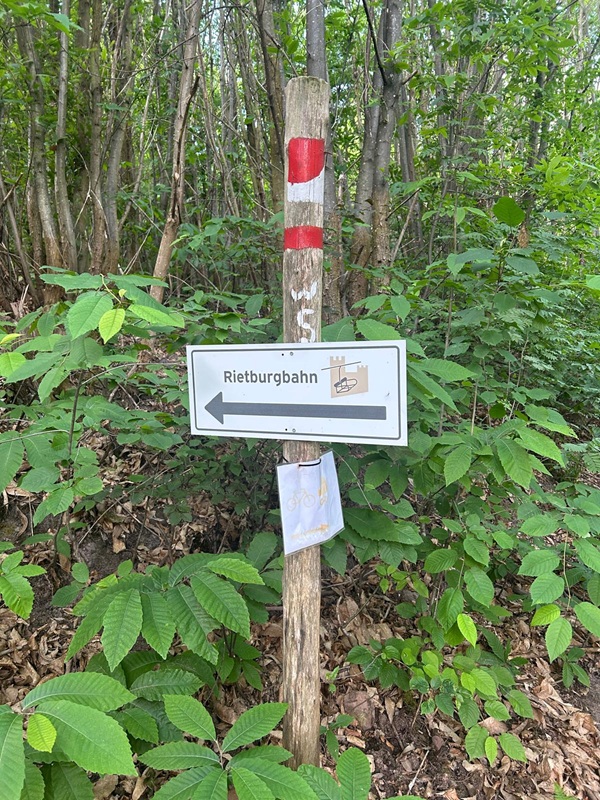 Pfälzerwald-Burgruinen - hier: Die Burgruine Rietburg