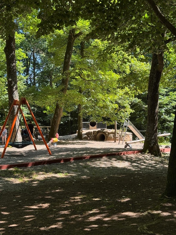 Pfälzerwald-Hütten - hier: Die Hellerhütte