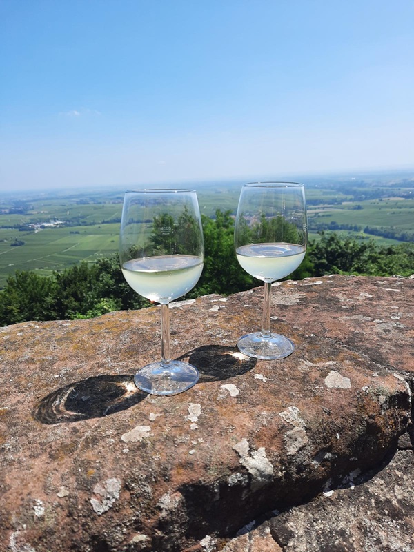 Pfälzerwald-Burgruinen - hier: Die Madenburg