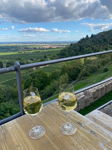 Pfälzerwald-Burgruinen - hier: Die Wachtenburg