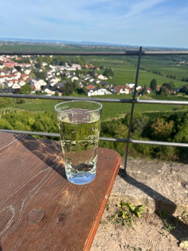 Pfälzerwald-Burgruinen - hier: Die Wachtenburg