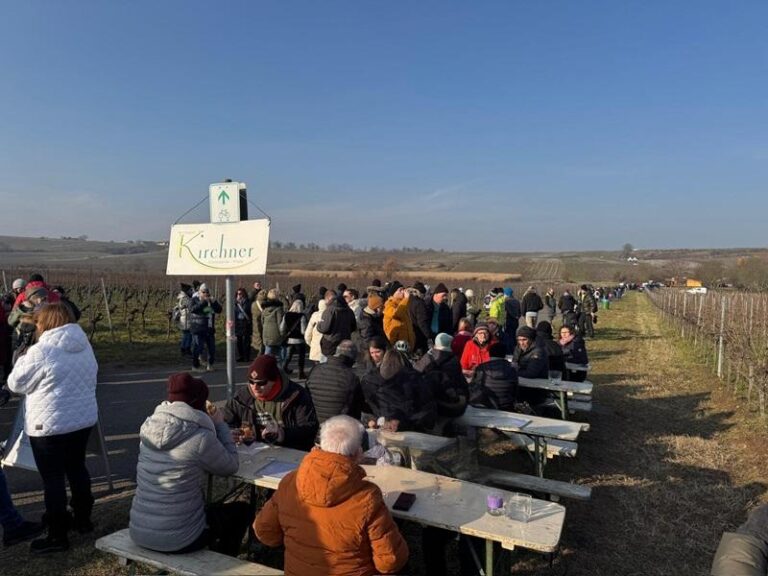 Weinwanderung in Freinsheim